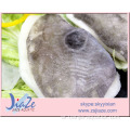 المأكولات البحرية المجمدة فيليه جون دوري الجلد
